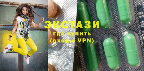 крисы Богородицк