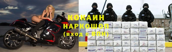 крисы Богородицк