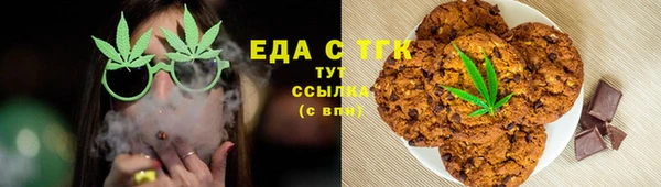 ECSTASY Бородино
