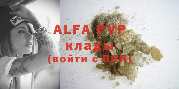 крисы Богородицк