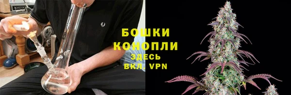 амф Богородск