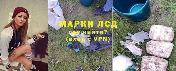крисы Богородицк