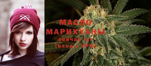 ECSTASY Бородино