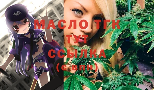 крисы Богородицк