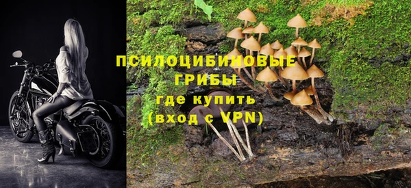 амф Богородск