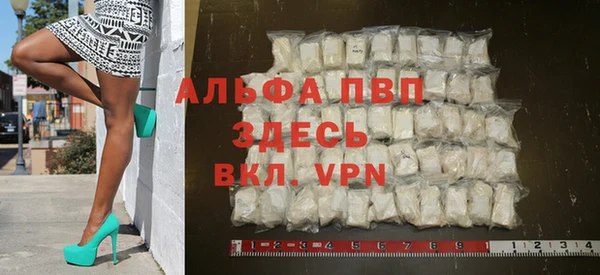 ECSTASY Бородино