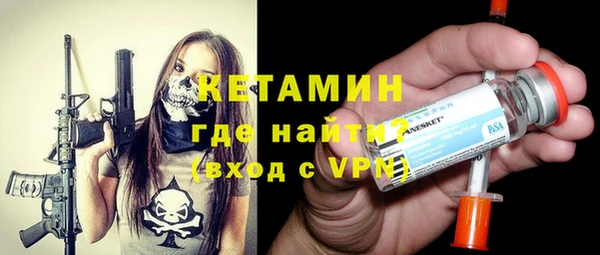 крисы Богородицк